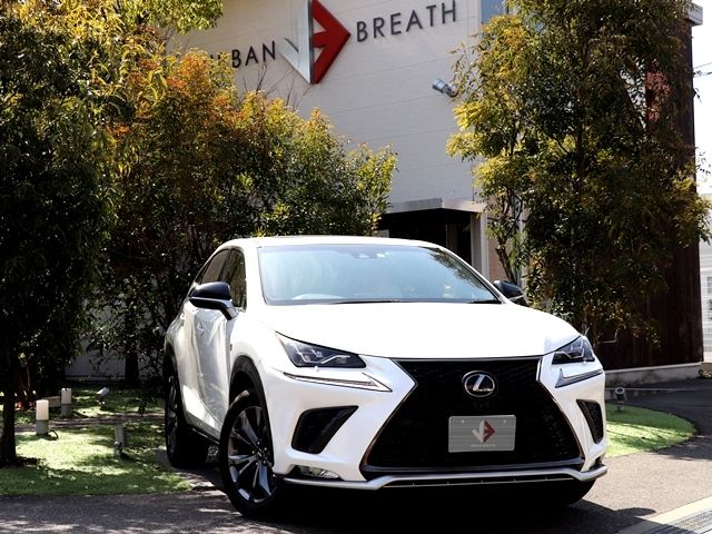Lexus NX 2017-10 497-0