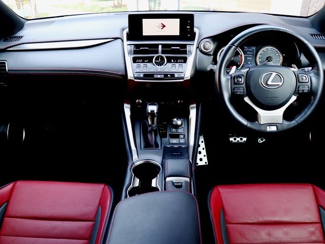 Lexus NX 2017-10 497-1