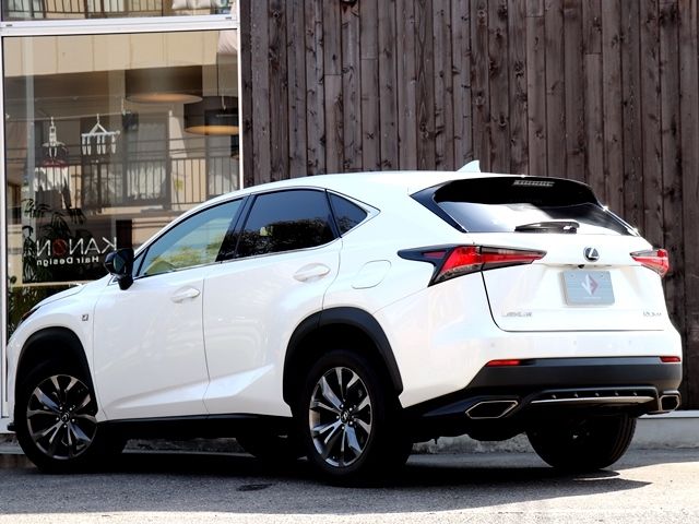 Lexus NX 2017-10 497-2