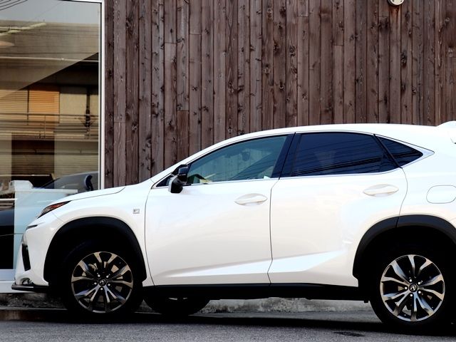 Lexus NX 2017-10 497-6