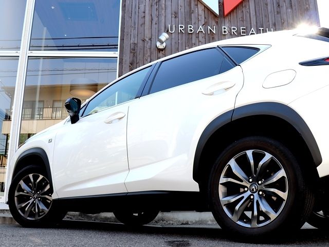 Lexus NX 2017-10 497-7