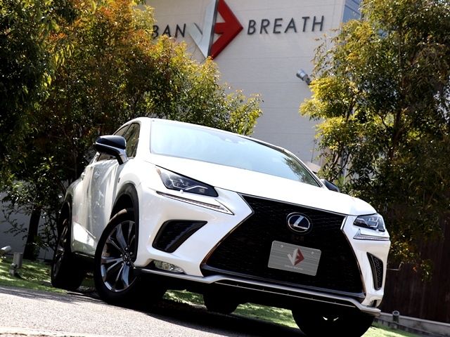 Lexus NX 2017-10 497-3