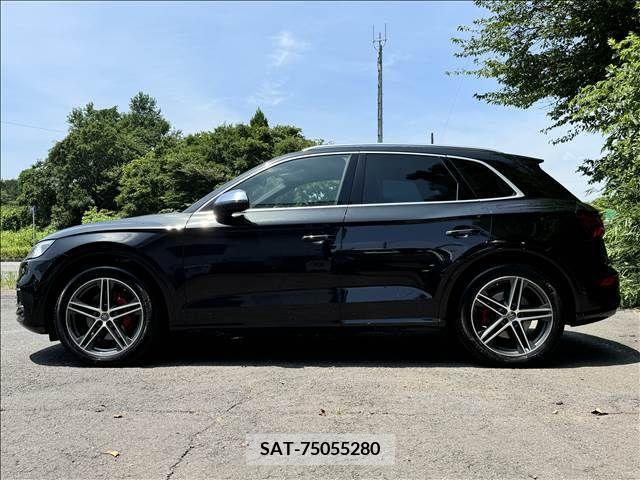 Audi SQ5 2019-08 352454-5