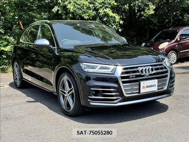 Audi SQ5 2019-08 352454-4