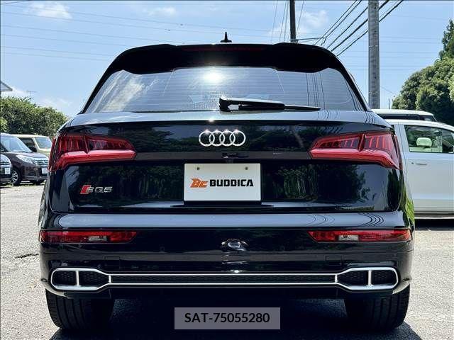 Audi SQ5 2019-08 352454-22