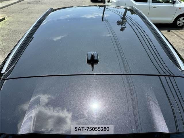 Audi SQ5 2019-08 352454-18