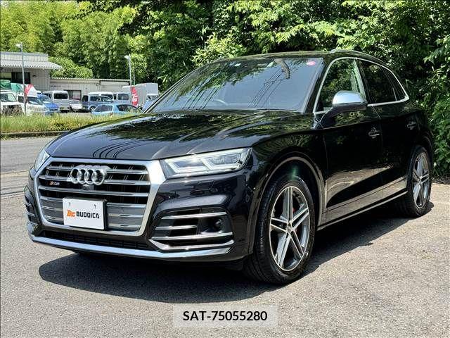 Audi SQ5 2019-08 352454-21