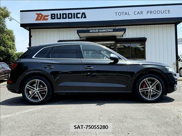 Audi SQ5 2019-08 352454-6