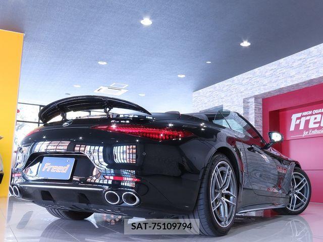 Amg SL 2023-02 260093-5