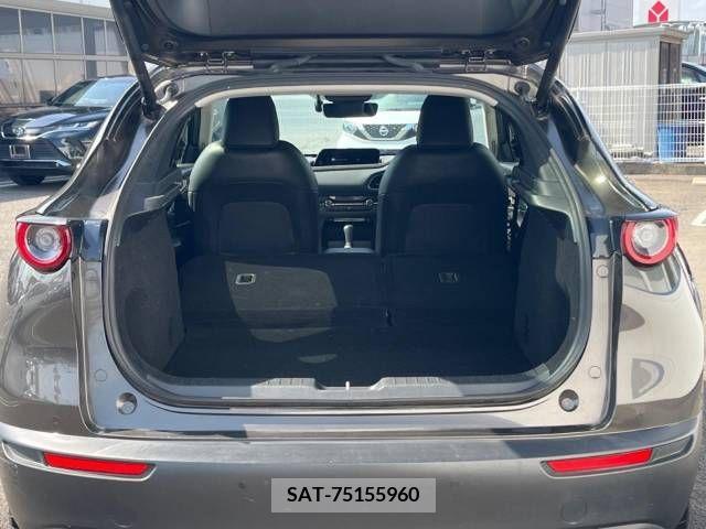 Mazda CX-30 2020-01 241402-10