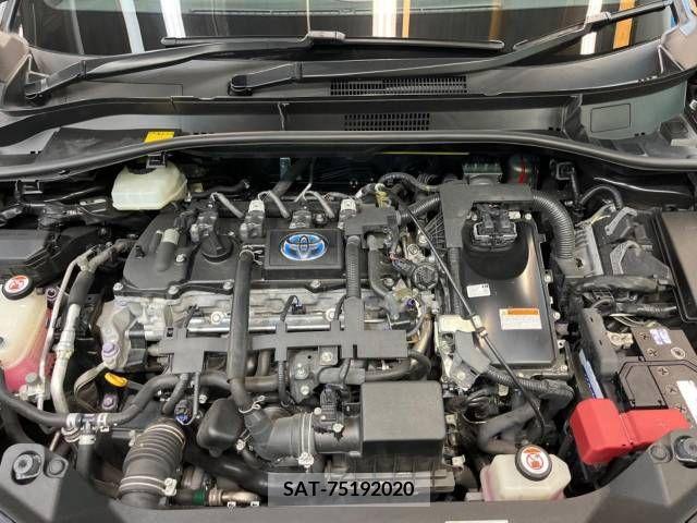 Toyota C-HR 2017-09 331255-18