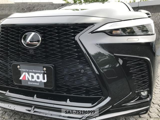 Lexus NX 2021-12 275778-4