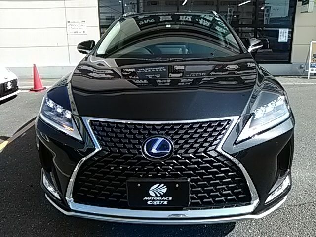 Lexus RX 2020-11 16991-3