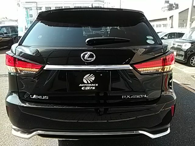 Lexus RX 2020-11 16991-4