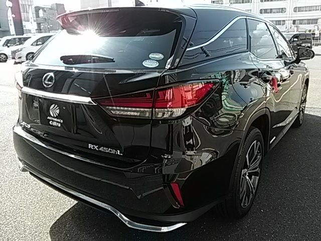 Lexus RX 2020-11 16991-2