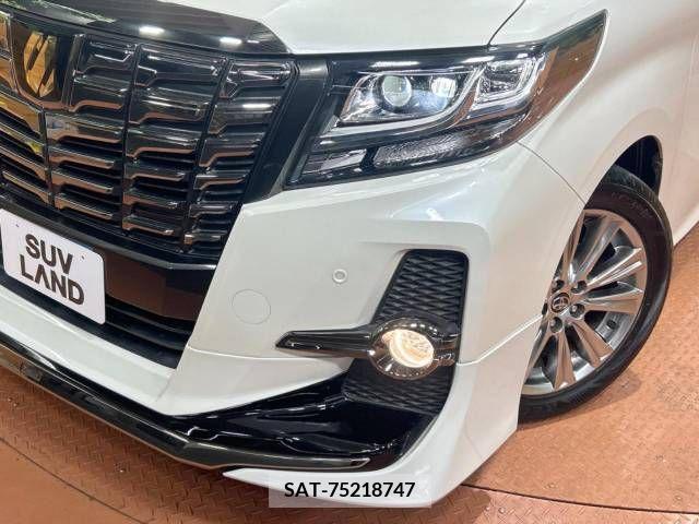 Toyota ALPHARD 2017-03 259176-13