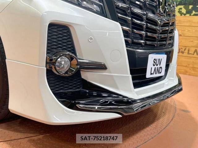 Toyota ALPHARD 2017-03 259176-2