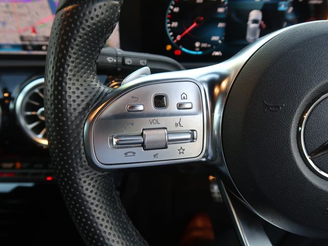 Mercedes Benz A-CLASS 2019-01 190182-14