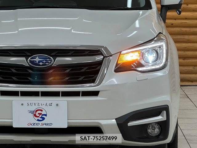 Subaru FORESTER 2017-06 360481-18