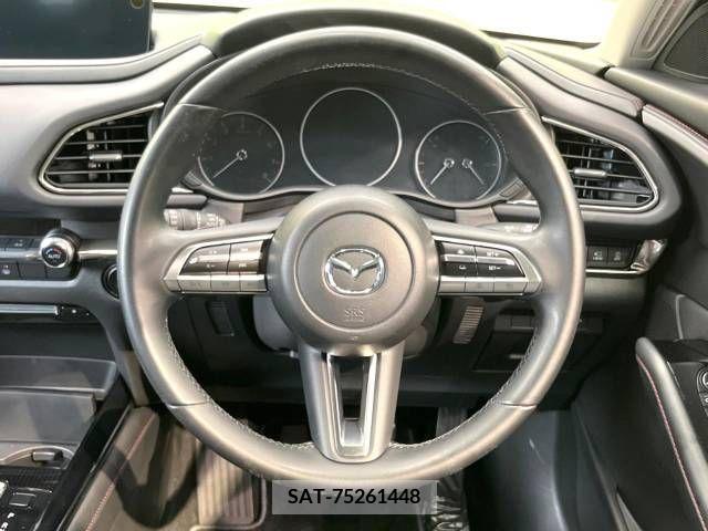 Mazda CX-30 2021-12 266014-11