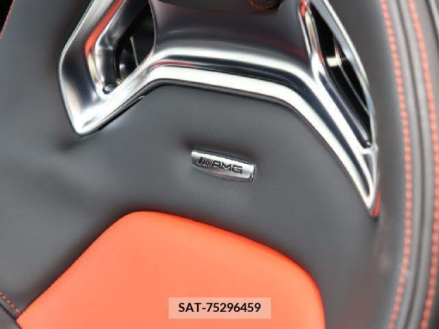 Amg GT 2017-09 291680-10