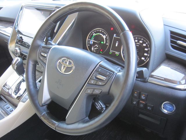 Toyota ALPHARD HYBRID 2020-02 193462-13