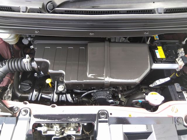 Nissan DAYZ ROOX 2018-09 22825-29