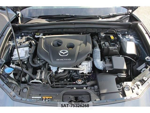 Mazda CX-30 2019-11 217456-17