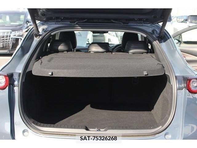 Mazda CX-30 2019-11 217456-16