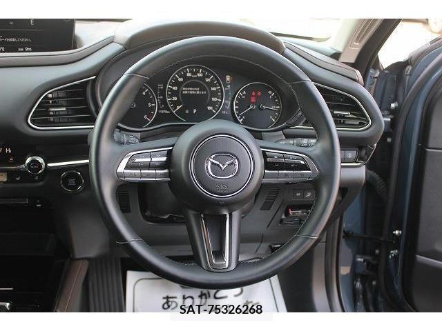 Mazda CX-30 2019-11 217456-15