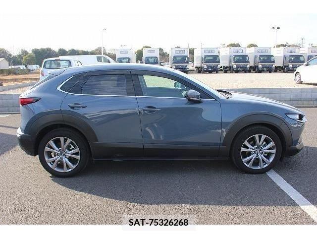 Mazda CX-30 2019-11 217456-8