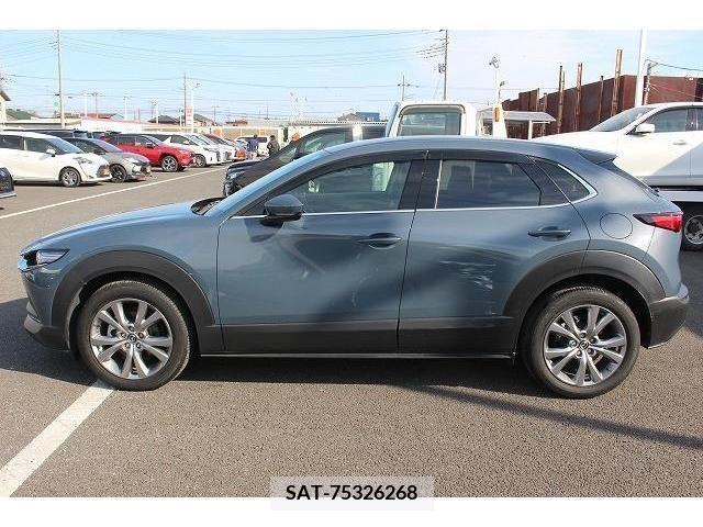 Mazda CX-30 2019-11 217456-6