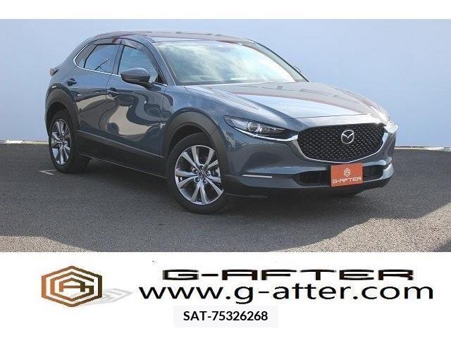 Mazda CX-30 2019-11 217456-0