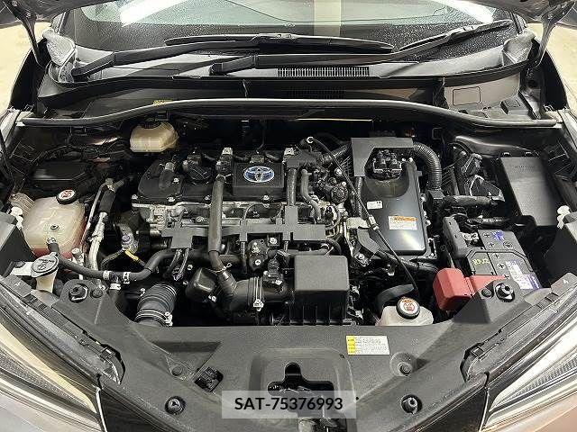 Toyota C-HR 2017-01 212174-13