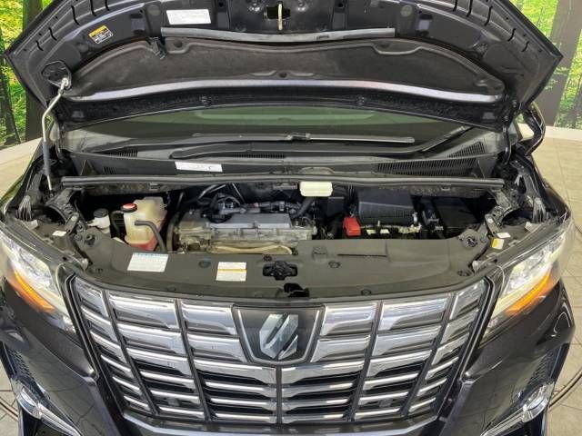 Toyota ALPHARD 2015-06 27051-19