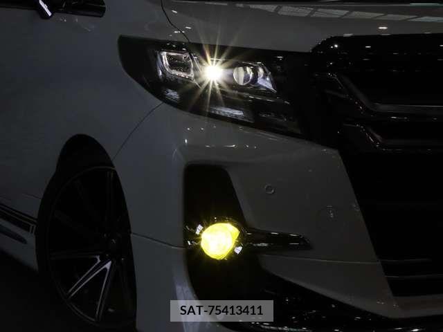 Toyota ALPHARD 2015-07 376002-13