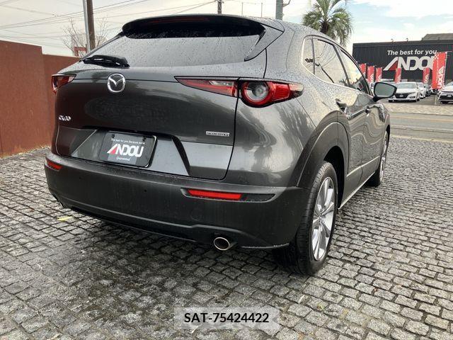 Mazda CX-30 2022-07 390184-4