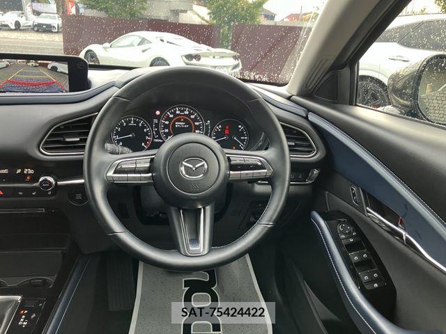 Mazda CX-30 2022-07 390184-10