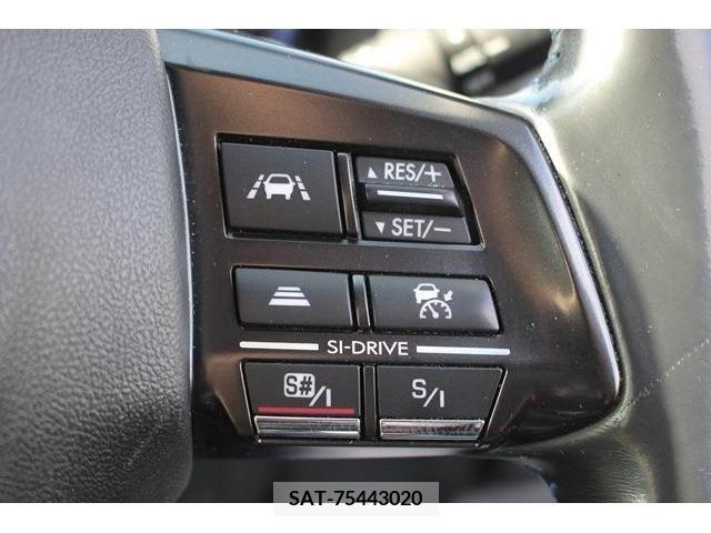 Subaru LEVORG 2015-02 244725-4