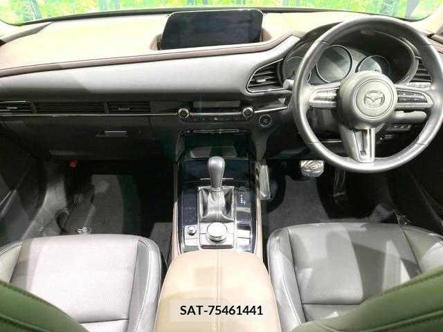 Mazda CX-30 2021-10 234439-1