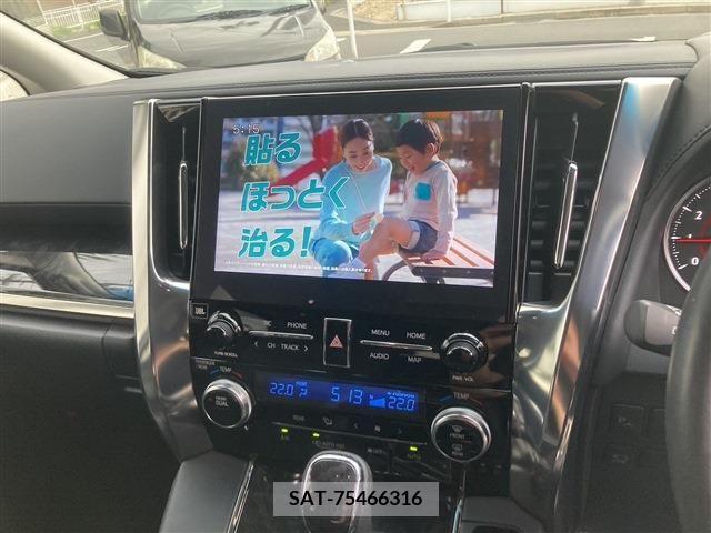 Toyota ALPHARD 2021-01 299506-8