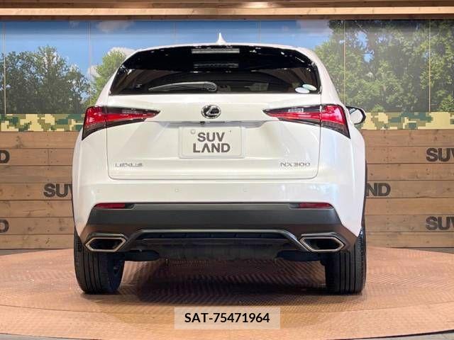 Lexus NX 2018-02 388181-15