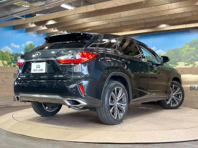 Lexus RX 2018-09 7789-17