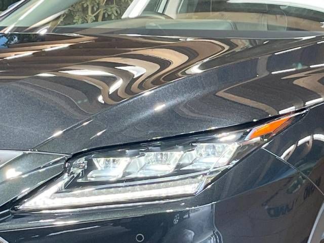 Lexus RX 2018-09 7789-13