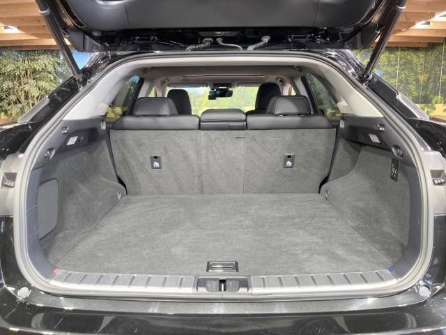 Lexus RX 2018-09 7789-10