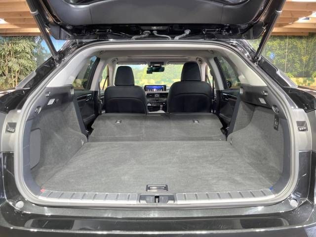 Lexus RX 2018-09 7789-11