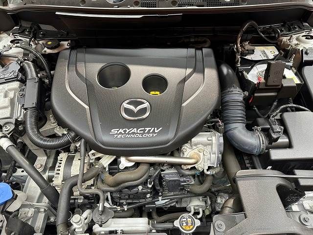 Mazda CX-3 2015-11 22508-13