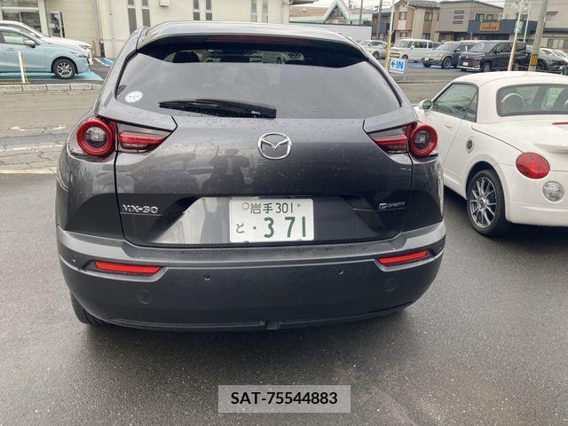 Mazda MX-30 2021-01 206566-4