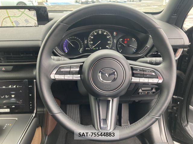 Mazda MX-30 2021-01 206566-10