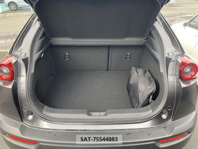 Mazda MX-30 2021-01 206566-16
